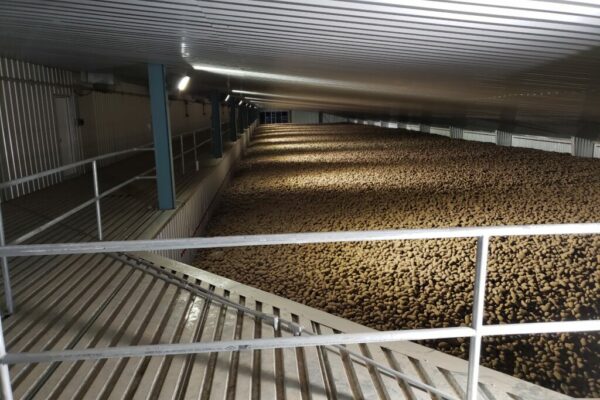 Steel Potato Storage Building - Interior Photo